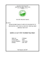Đánh giá hiện trạng và đề xuất giải pháp xử lý môi trường nước thải tại nhà máy thép đặc biệt SHENGLI Việt Nam (Khóa luận tốt nghiệp)