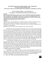 Hệ thống kiểm soát nội bộ trong quản trị rủi ro tại ngân hàng thương mại (tt) 