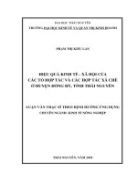 Hiệu quả kinh tế  xã hội của các tổ hợp tác và các HTX chè ở huyện Đồng Hỷ, tỉnh Thái Nguyên (Luận văn thạc sĩ)