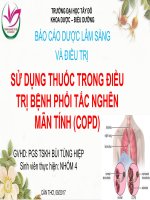SỬ DỤNG THUỐC TRONG ĐIỀU TRỊ BỆNH PHỔI TẮC NGHẼN MÃN TÍNH (COPD)