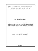 Nghiên cứu ứng dụng chỉ thị phân tử SSR trong chọn giống bạch đàn lai (E. urophylla x E. exserta) (Luận văn thạc sĩ)