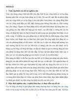 Nghiên cứu sự phân bố ứng suất trong đất đắp lên nền đất yếu và đầu cọc cho giải pháp xử lý nền đất yếu bằng cọc bê tông cốt thép kết hợp với vải địa kỹ thuật (tt) 