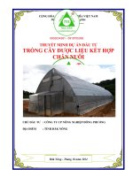 Trồng cây dược liệu kết hợp chăn nuôi tỉnh Đăk Nông 0903034381