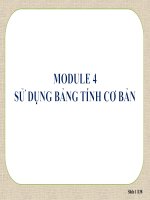 MODULE 4 SU DUNG BANG TINH CB 