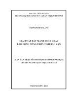 Giải pháp đẩy mạnh xuất khẩu lao động nông thôn tỉnh Bắc Kạn (LV thạc sĩ)