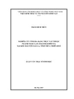Nghiên cứu tính đa dạng thực vật thuộc ngành Ngọc lan (Magnoliophyta) tại Khu bảo tồn Sao La, tỉnh Thừa ThiênHuế (Luận văn thạc sĩ)