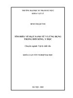 Tìm hiểu về hạt nano từ và ứng dụng của nó trong đời sống, y học