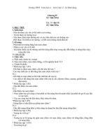 Giáo án Vật lý 11 bài 19: Từ trường