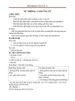 Giáo án Vật lý 11 bài 23: Từ thông. Cảm ứng điện từ