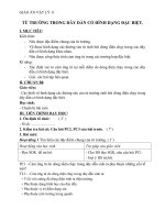 Giáo án Vật lý 11 bài 21: Từ trường của dòng điện chạy trong các dây dẫn có hình dạng đặc biệt