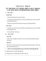 Giáo án Vật lý 11 bài 21: Từ trường của dòng điện chạy trong các dây dẫn có hình dạng đặc biệt