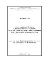 Quản trị rủi ro tín dụng tại Ngân hàng nông nghiệp và Phát triển nông thôn Việt Nam  Chi nhánh Khu công nghiệp Tiên Sơn, Bắc Ninh (Luận văn thạc sĩ)
