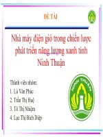 Nhà máy điện gió trong chiến lược phát triển năng lượng xanh