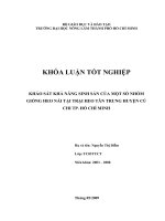 KHẢO SÁT KHẢ NĂNG SINH SẢN CỦA MỘT SỐ NHÓM GIỐNG HEO NÁI TẠI TRẠI HEO TÂN TRUNG HUYỆN CỦ CHI TP. HỒ CHÍ MINH