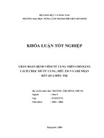 CHẨN ĐOÁN BỆNH VIÊM TỬ CUNG TRÊN CHÓ BẰNG CÁCH CHỌC DÒ TỬ CUNG, SIÊU ÂM VÀ GHI NHẬN KẾT QUẢ ĐIỀU TRỊ