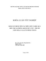 KHẢO SÁT BỆNH VIÊM TAI TRÊN CHÓ VÀ HIỆU QUẢ ĐIỀU TRỊ TẠI PHÒNG KHÁM THÚ Y PET – PRO 389 CỘNG HÒA, P.13, Q.TÂN BÌNH, TP.HCM