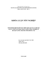 TÌNH HÌNH BỆNH HÔ HẤP TRÊN HEO 28 NGÀY ĐẾN 80 NGÀY TUỔI TẠI TRẠI CHĂN NUÔI CÔNG NGHIỆP Ở HUYỆN LONG THÀNH TỈNH ĐỒNG NAI