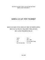 KHẢO SÁT KHẢ NĂNG SINH SẢN MỘT SỐ NHÓM GIỐNG HEO NÁI TẠI TRANG TRẠI HIỀN THOA HUYỆN ĐỨC LINH TỈNH BÌNH THUẬN