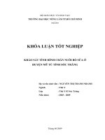 KHẢO SÁT TÌNH HÌNH CHĂN NUÔI BÒ SỮA Ở HUYỆN MỸ TÚ TỈNH SÓC TRĂNG