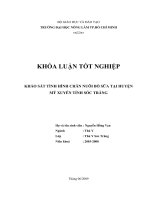 KHẢO SÁT TÌNH HÌNH CHĂN NUÔI BÒ SỮA TẠI HUYỆN MỸ XUYÊN TỈNH SÓC TRĂNG