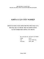 KHẢO SÁT KHẢ NĂNG SINH TRƯỞNG PHÁT DỤC CỦA HEO HẬU BỊ CÁI THUỘC MỘT SỐ NHÓM GIỐNG TẠI XÍ NGHIỆP HEO GIỐNG TÂN TRUNG