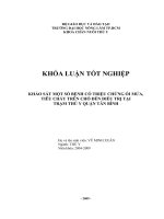 KHẢO SÁT MỘT SỐ BỆNH CÓ TRIỆU CHỨNG ÓI MỬA, TIÊU CHẢY TRÊN CHÓ ĐẾN ĐIỀU TRỊ TẠI TRẠM THÚ Y QUẬN TÂN BÌNH