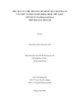 HIỆU QUẢ CỦA VIỆC BỔ SUNG CHẾ PHẨM CHỨA BACITRACIN VÀO THỨC ĂN HEO NÁI ĐỂ PHÒNG BỆNH TIÊU CHẢY LIÊN QUAN Clostridium perfringens TRÊN HEO CON THEO MẸ