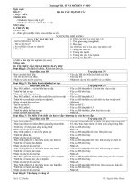 Giáo án Vật lý 12 bài 40: Các hạt sơ cấp