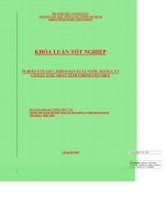 NGHIÊN CỨU QUY TRÌNH SẢN XUẤT NƯỚC MĂNG CỤT CÔ ĐẶC GIÀU HOẠT TÍNH CHỐNG OXY HÓA