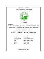 Đánh giá tình hình sản xuất và ảnh hưởng của hóa chất bảo vệ thực vật tới môi trường tại trang trại 57 ein yahav  vùng Arava  Israel (Khóa luận tốt nghiệp)