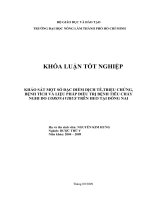 KHẢO SÁT MỘT SỐ ĐẶC ĐIỂM DỊCH TỄ,TRIỆU CHỨNG, BỆNH TÍCH VÀ LIỆU PHÁP ĐIỀU TRỊ BỆNH TIÊU CHẢY NGHI DO CORONAVIRUS TRÊN HEO TẠI ĐỒNG NAI