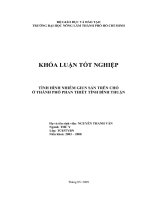 TÌNH HÌNH NHIỄM GIUN SÁN TRÊN CHÓ Ở THÀNH PHỐ PHAN THIẾT TỈNH BÌNH THUẬN