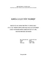 KHẢO SÁT SỰ SINH TRƯỞNG VÀ PHÁT DỤC CỦA CÁC NHÓM GIỐNG HEO HẬU BỊ TẠI XÍ NGHIỆP CHĂN NUÔI HEO ĐỒNG HIỆP HUYỆN CỦ CHI, THÀNH PHỐ HỒ CHÍ MINH