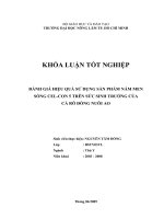 ĐÁNH GIÁ HIỆU QUẢ SỬ DỤNG SẢN PHẨM NẤM MEN SỐNG CELCON 5 TRÊN SỨC SINH TRƯỞNG CỦA CÁ RÔ ĐỒNG NUÔI AO