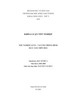 THỬ NGHIỆM AUTO – VACCINE PHÒNG BỆNH DO E. COLI TRÊN HEO