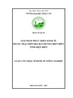 Giải pháp phát triển kinh tế trang trại trên địa bàn huyện Điện Biên, tỉnh Điện Biên (Luận văn thạc sĩ)
