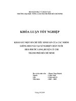 KHẢO SÁT MỘT SỐ CHỈ TIÊU SINH SẢN CỦA CÁC NHÓM GIỐNG HEO NÁI TẠI XÍ NGHIỆP CHĂN NUÔI HEO PHƯỚC LONG,HUYỆN CỦ CHI THÀNH PHỐ HỒ CHÍ MINH