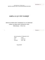 KHẢO SÁT PHẨM CHẤT TINH DỊCH CỦA CÁC HEO ĐỰC GIỐNG TẠI TRẠI CHĂN NUÔI HƯNG VIỆT, TỈNH BÀ RỊA – VŨNG TÀU