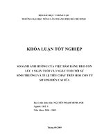SO SÁNH ẢNH HƯỞNG CỦA VIỆC BẤM RĂNG HEO CON LÚC 1 NGÀY TUỔI VÀ 3 NGÀY TUỔI TỚI SỰ SINH TRƯỞNG VÀ TỈ LỆ TIÊU CHẢY TRÊN HEO CON TỪ SƠ SINH ĐẾN CAI SỮA