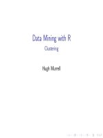 Data Mining with R  Clustering