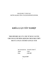 THEO DÕI HIỆU QUẢ CỦA VIỆC SỬ DỤNG VACCINE CIRCUMVENT ĐỂ PHÒNG BỆNH DO CIRCOVIRUS TRÊN HEO TỪ 14 NGÀY TUỔI ĐẾN 120 NGÀY TUỔI