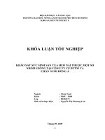 KHẢO SÁT SỨC SINH SẢN CỦA HEO NÁI THUỘC MỘT SỐ NHÓM GIỐNG TẠI CÔNG TY CP ĐTTM VÀ CHĂN NUÔI ĐÔNG Á