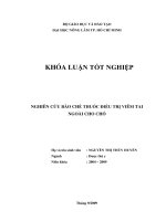 NGHIÊN CỨU BÀO CHẾ THUỐC ĐIỀU TRỊ VIÊM TAI NGOÀI CHO CHÓ