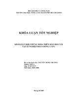 KHẢO SÁT HỘI CHỨNG MMA TRÊN ĐÀN HEO NÁI TẠI XÍ NGHIỆP HEO GIỐNG CẤP 1
