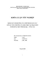 KHẢO SÁT ẢNH HƯỞNG CỦA CHẾ PHẨM GLUCAN C LÊN SỰ TĂNG TRƯỞNG CỦA HEO THỊT TẠI TRẠI CHĂN NUÔI HƯNG VIỆT TỈNH BÀ RỊA – VŨNG TÀU