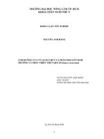 ẢNH HƯỚNG CỦA TÝ LỆ ĐẤT BÙN VÀ PHÂN HEO LÊN SINH TRƯỞNG VÀ PHÁT TRIỂN TRÙN QUẾ (Perionyx excavatus)