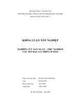 NGHIÊN CỨU SẢN XUẤT – THỬ NGHIỆM VẮC XIN ĐẬU GÀ TRÊN TẾ BÀO