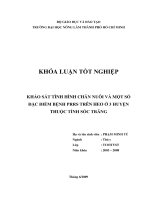 KHẢO SÁT TÌNH HÌNH CHĂN NUÔI VÀ MỘT SỐ ĐẶC ĐIỂM BỆNH PRRS TRÊN HEO Ở 3 HUYỆN THUỘC TỈNH SÓC TRĂNG