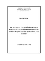 Đặc điểm điện tâm đồ và kết quả chụp động mạch vành ở bệnh nhân hội chứng vành cấp tại Bệnh viện Trung ương Thái Nguyên (LV thạc sĩ)