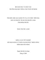 TÌM HIỂU HIỆU QUẢ KINH TẾ CỦA CÂY ĐIỀU TRÊN ĐỊA BÀN XÃ PHƯỚC TÍN HUYỆN PHƯỚC LONG TỈNH BÌNH PHƯỚC
